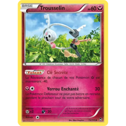 Trousselin FFI - 073/111
