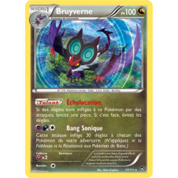 Bruyverne FFI - 077/111
