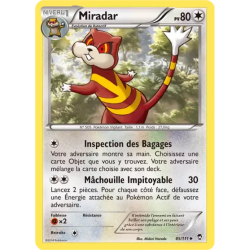 Miradar FFI - 085/111