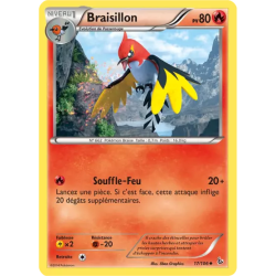 Braisillon FLF - 017/106