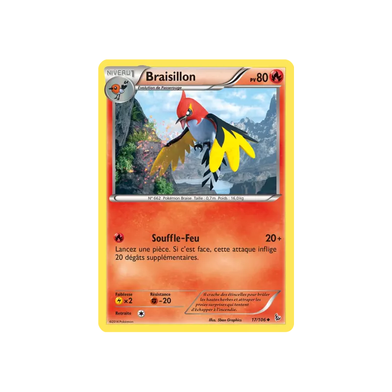 Braisillon FLF - 017/106