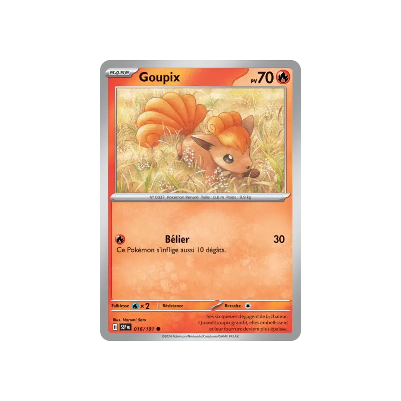 Goupix SSP - 016/191