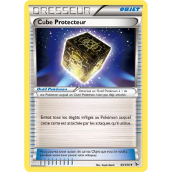 Cube Protecteur FLF - 095/106