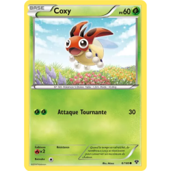 Coxy XY - 006/146