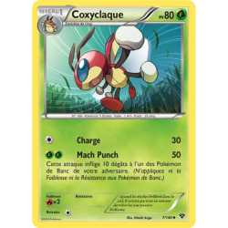Coxyclaque XY - 007/146