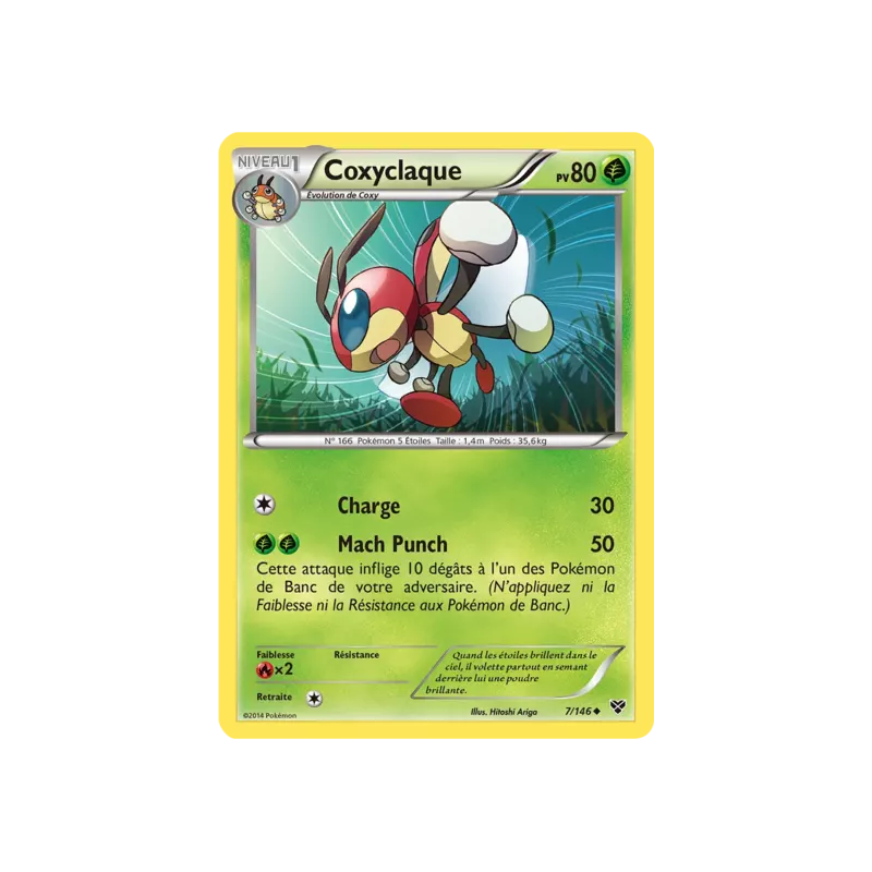 Coxyclaque XY - 007/146