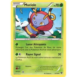 Muciole XY - 008/146