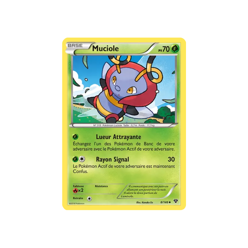 Muciole XY - 008/146