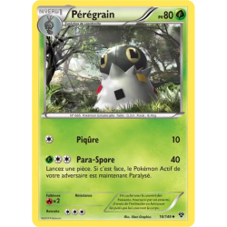 Pérégrain XY - 016/146