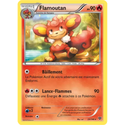 Flamoutan XY - 023/146