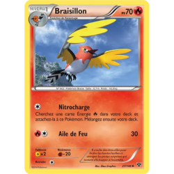 Braisillon XY - 027/146