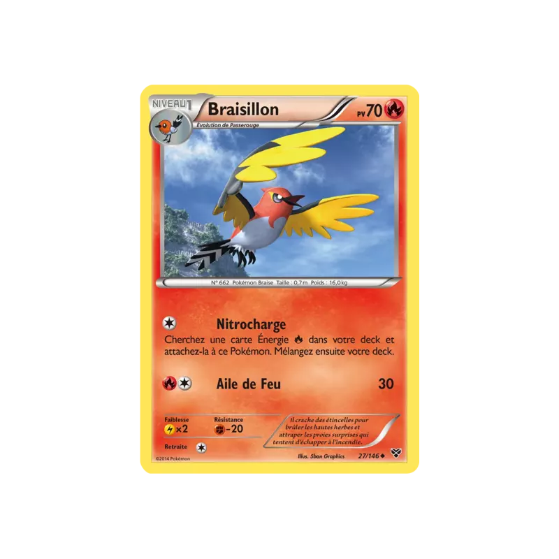 Braisillon XY - 027/146