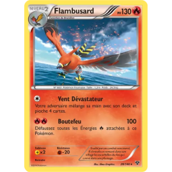 Flambusard XY - 028/146