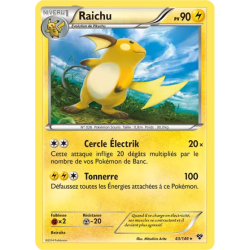 Raichu XY - 043/146