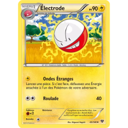 Électrode XY - 045/146