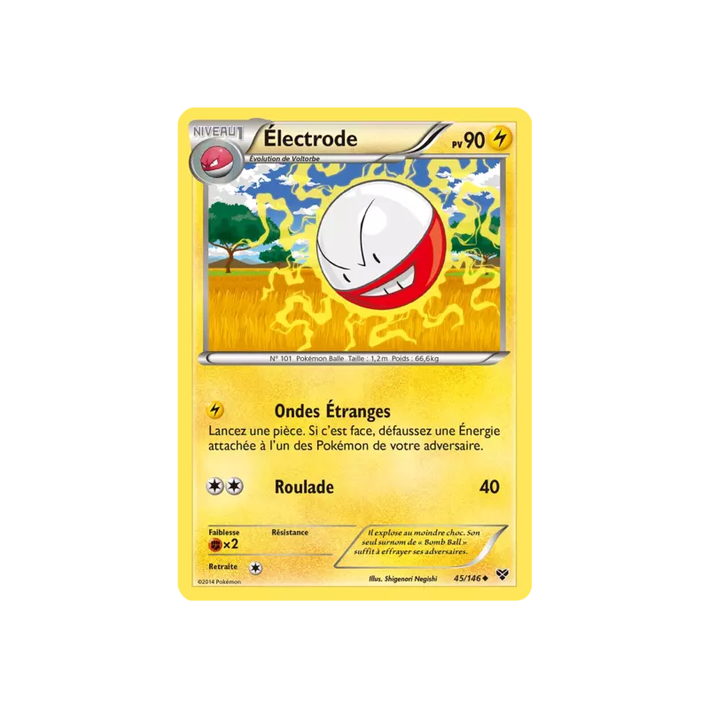 Électrode XY - 045/146