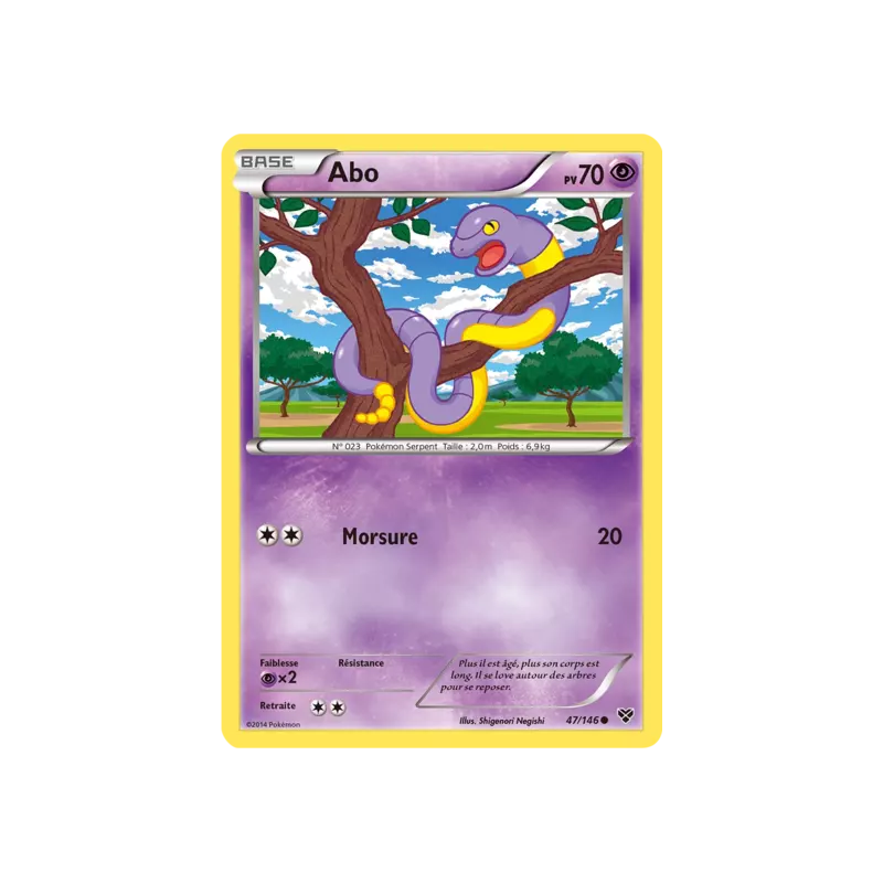 Abo XY - 047/146