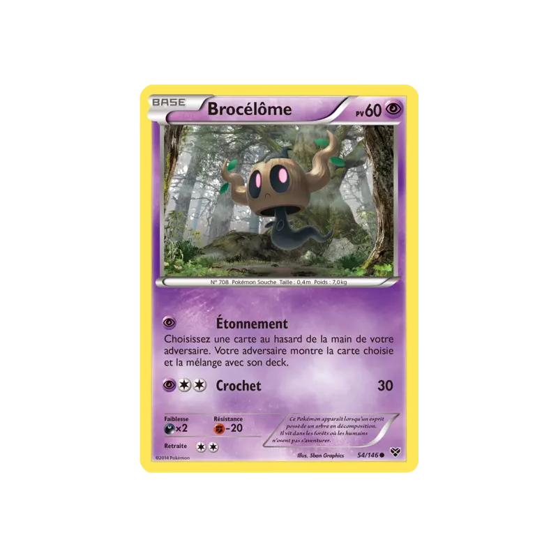 Brocélôme XY - 054/146