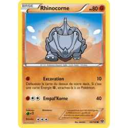 Rhinocorne XY - 060/146