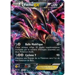 Yveltal EX XY - 079/146