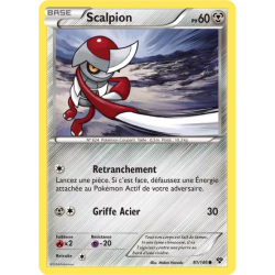Scalpion XY - 081/146