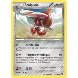Scalproie XY - 082/146