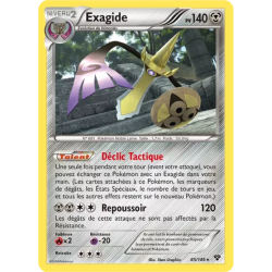 Exagide XY - 085/146