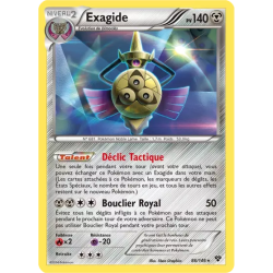 Exagide XY - 086/146