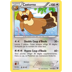 Castorno XY - 107/146