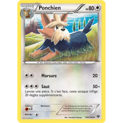 Ponchien XY - 109/146
