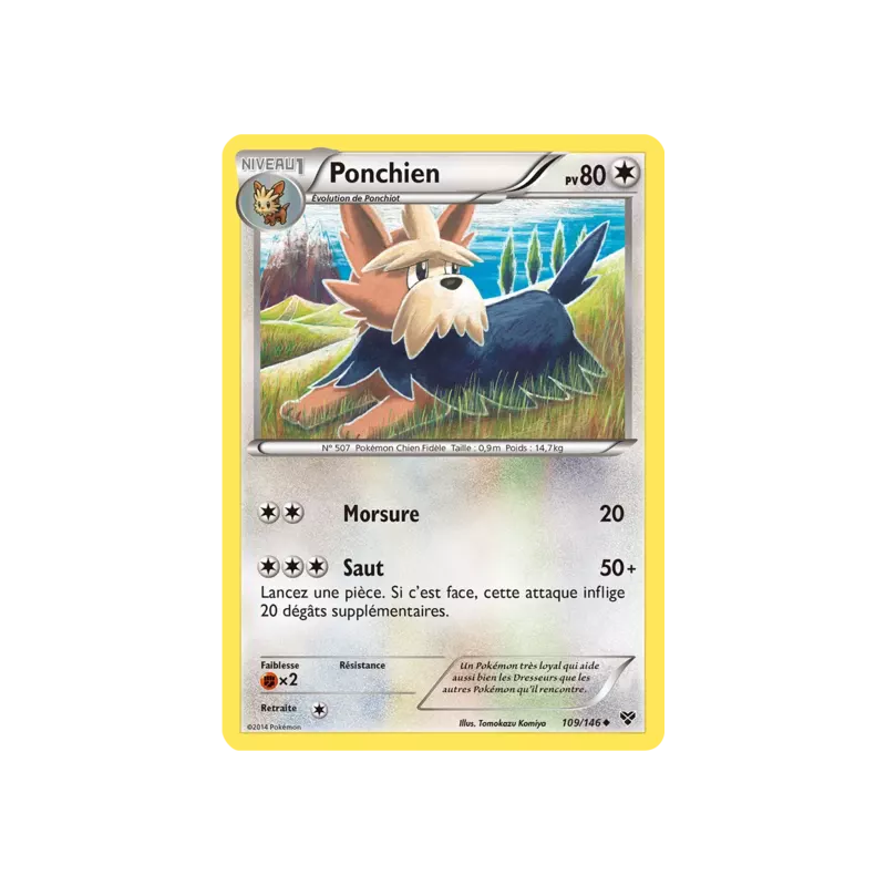 Ponchien XY - 109/146