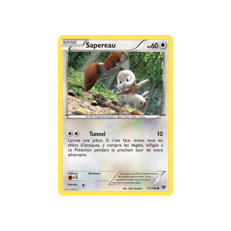 Sapereau XY - 111/146