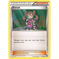 Sannah XY - 127/146