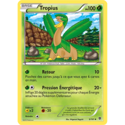 Tropius PLB - 005/101