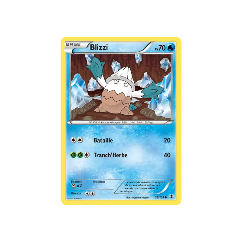 Blizzi PLB - 025/101