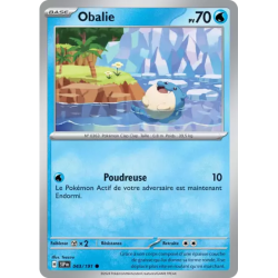 Obalie SSP - 043/191
