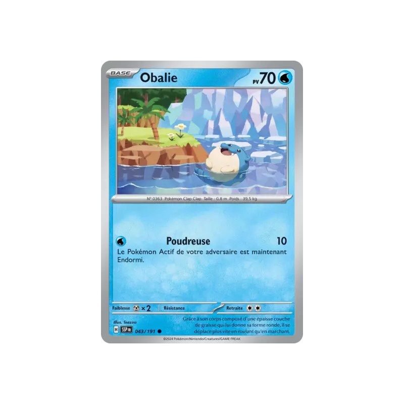 Obalie SSP - 043/191