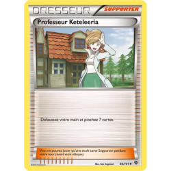 Professeur Keteleeria PLB - 084/101