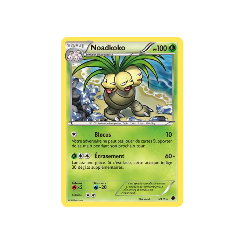 Noadkoko PLF - 005/116