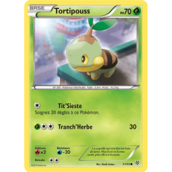 Tortipouss PLS - 001/135