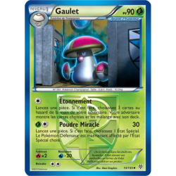 Gaulet PLS - 013/135