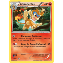 Chimpenfeu PLS - 016/135
