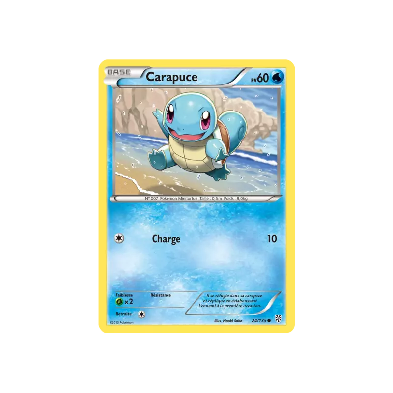 Carapuce PLS - 024/135