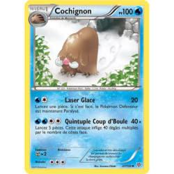 Cochignon PLS - 027/135