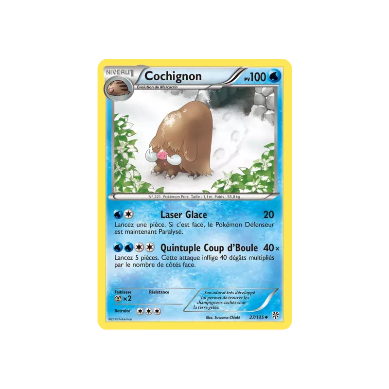 Cochignon PLS - 027/135