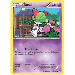 Tarsal PLS - 059/135