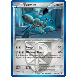Fermite PLS - 091/135