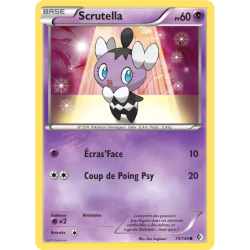 Scrutella BCR - 075/149