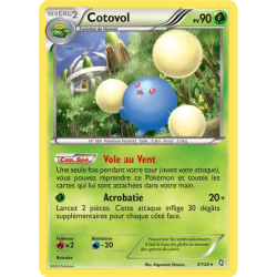 Cotovol DRX - 003/124