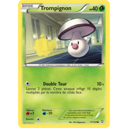Trompignon DRX - 017/124